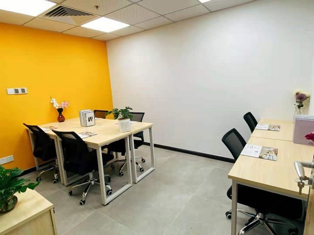 杨浦区一站式绿植租赁诚信推荐