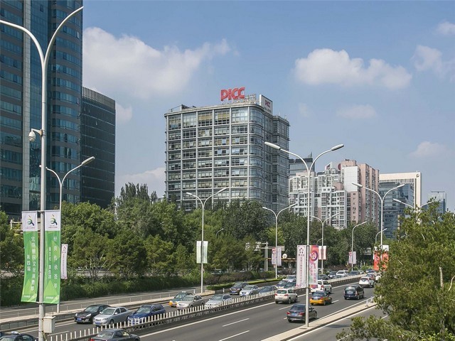 杨浦区一站式绿植租赁诚信推荐